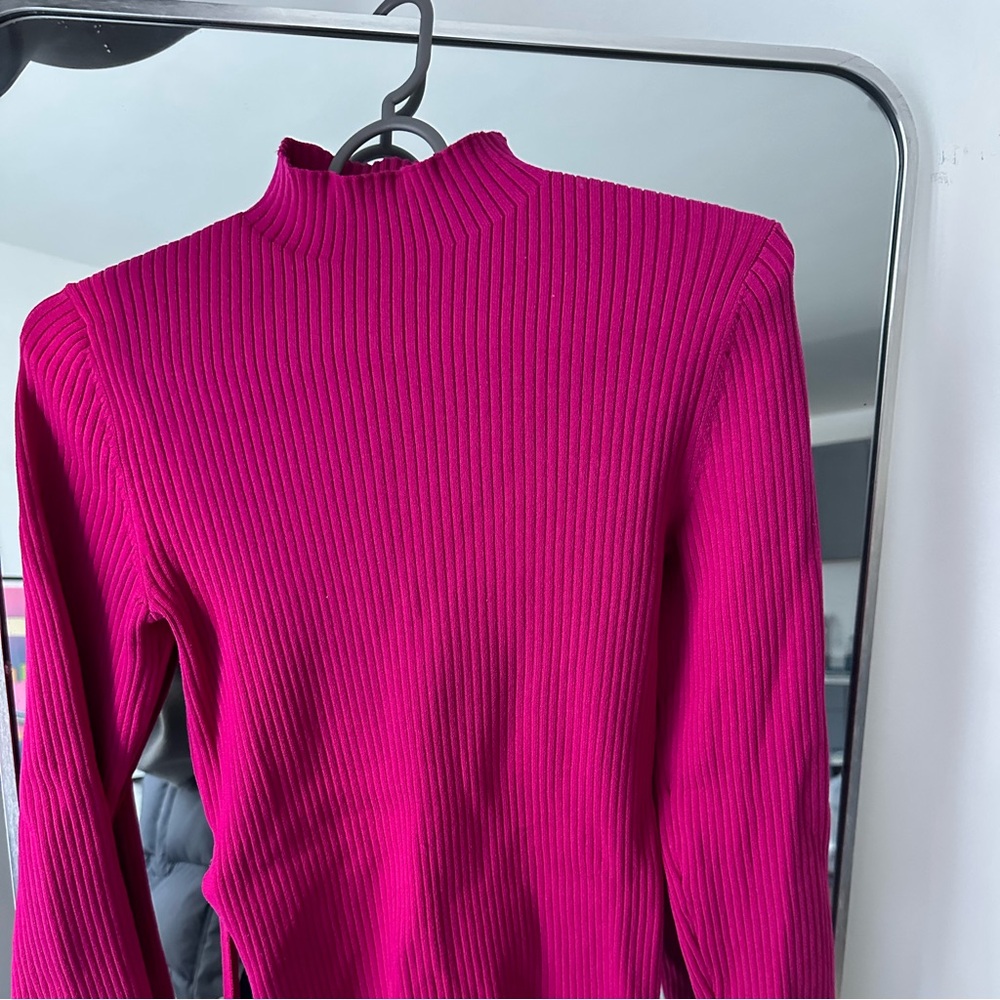 Babaton Sculpt Knit Turtleneck